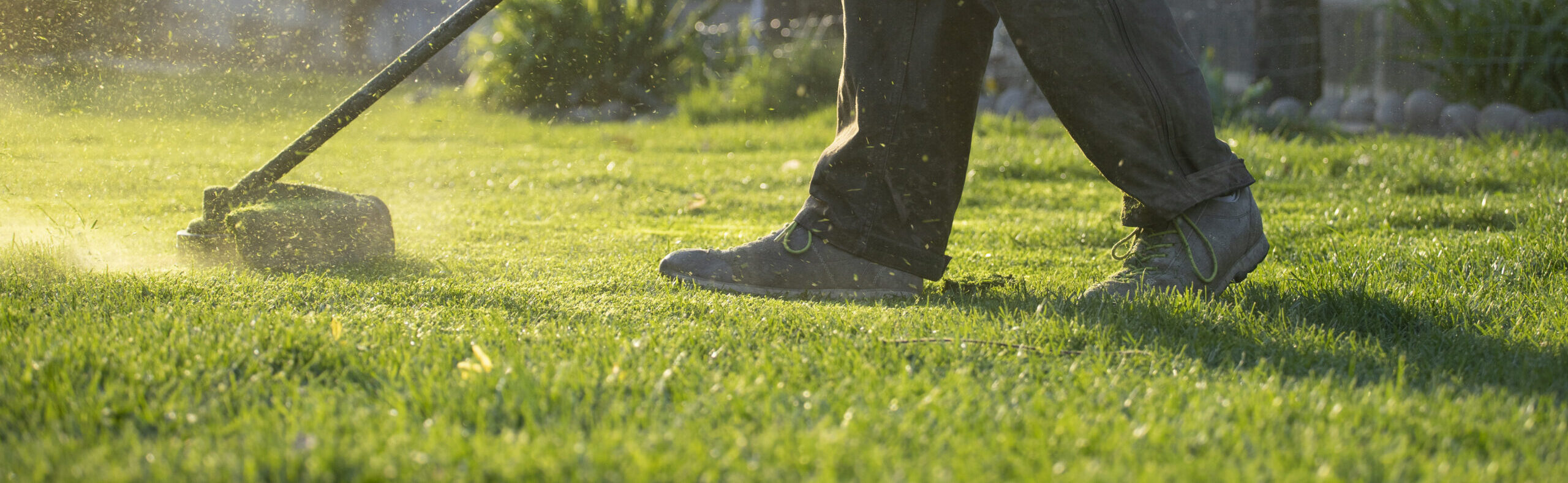 Mowing the grass with a lawn mower. Garden work concept background.