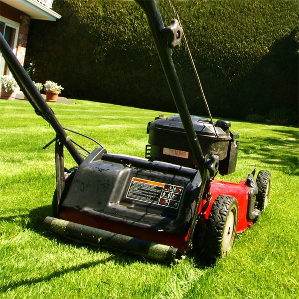 lawn-care-600X600