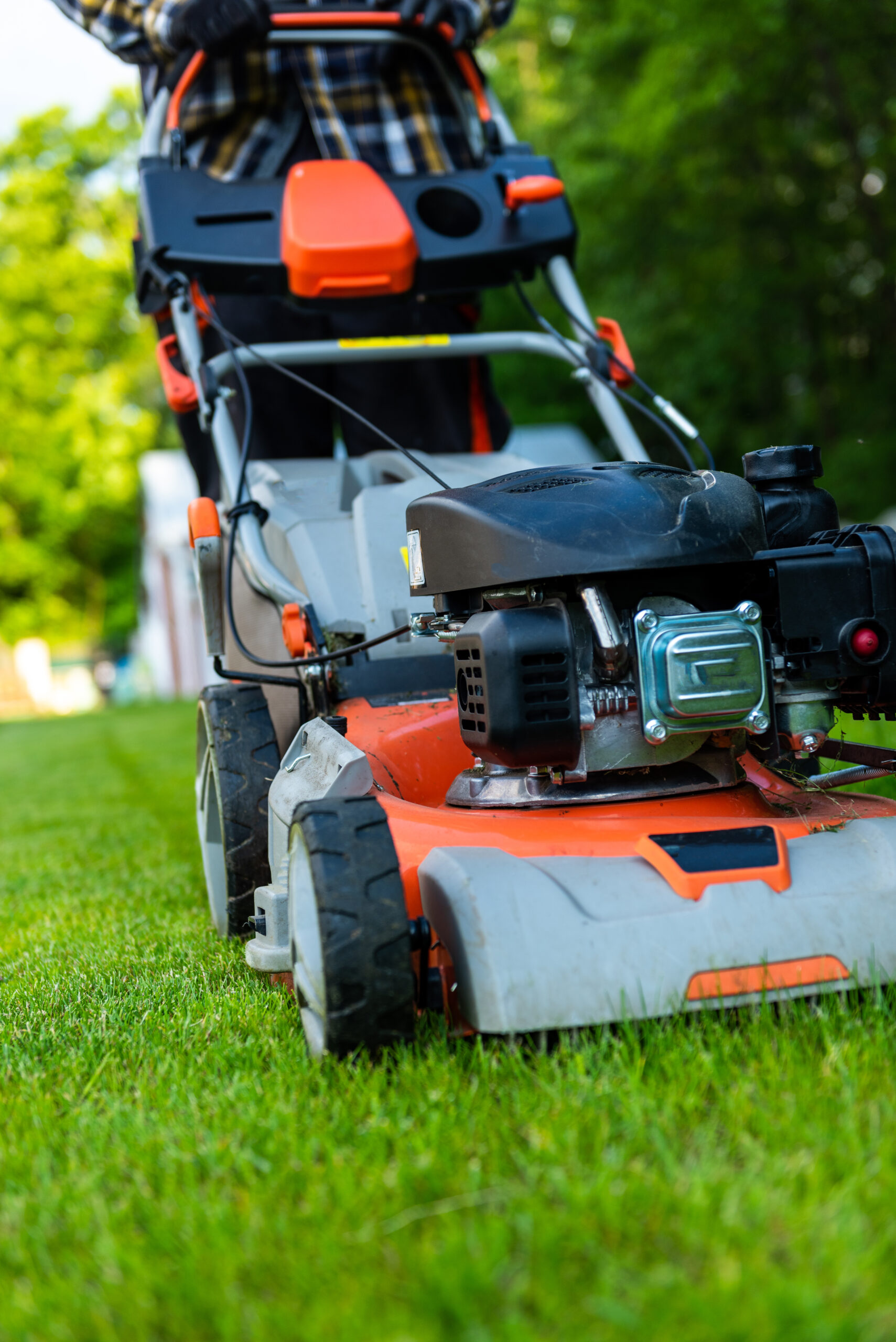 Gardener Cutting Grass with Petrol Lawnmover in Backyard Garden at Summer.